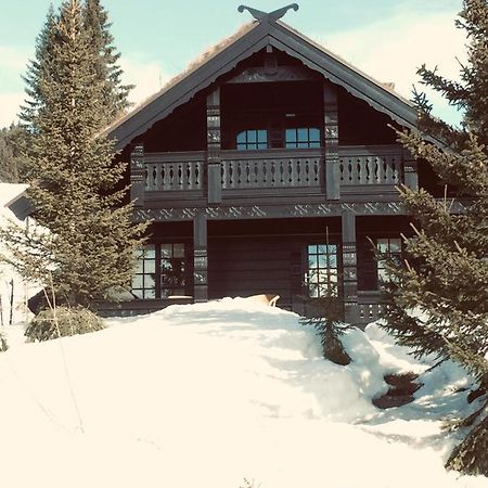 Ski And Bike-In And Out ハーフィエル エクステリア 写真